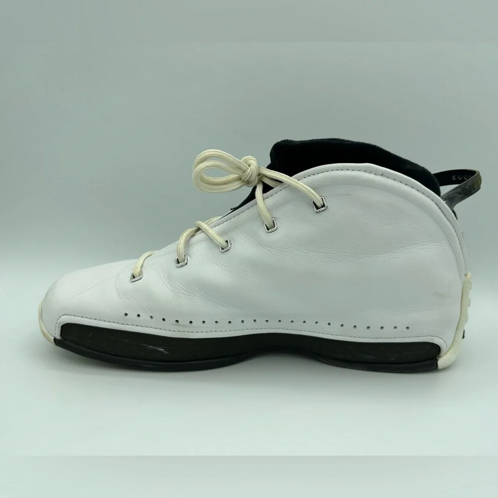 Air Jordan 18.5